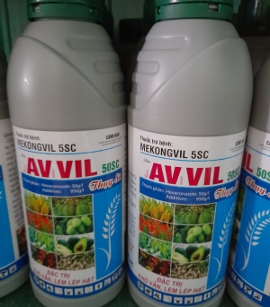 Avvil 5SC