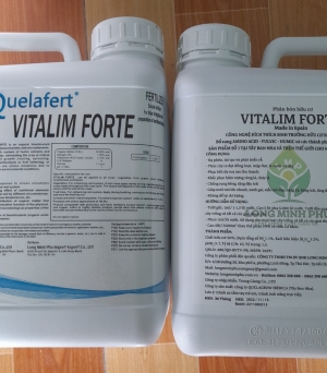 Vitalim forte