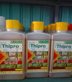 Thipro
