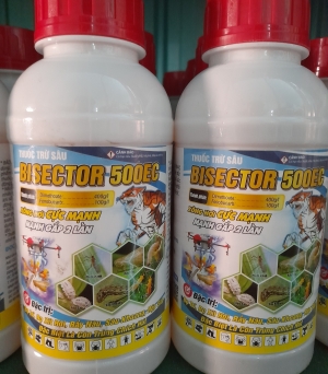 Bisector 500 EC