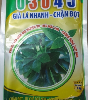 Chặn đọt, già lá