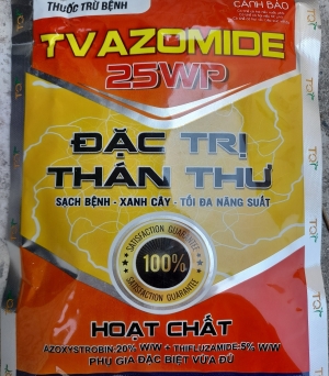 Thán thư