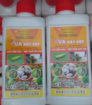 Rệp sáp