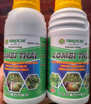 Combi Thái