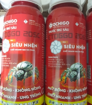 Siêu nhện