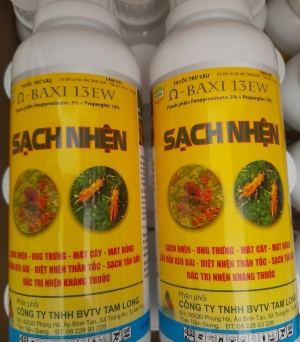 Sạch nhện