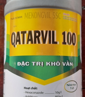 Qatarvil
