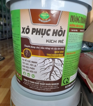 Xô phục hồi