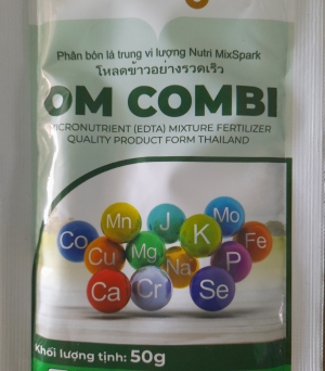 OM Combi