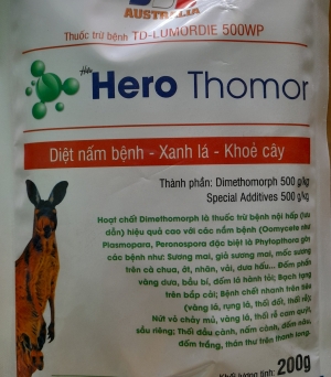 Hero