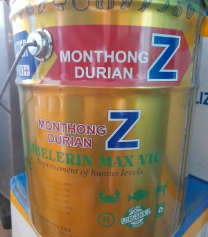 Monthon durian Z