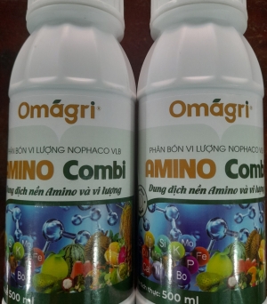 Amino combi