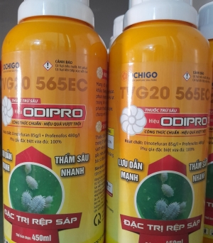 ODiPRO