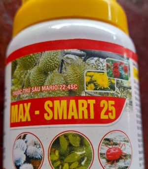 Max smart 25