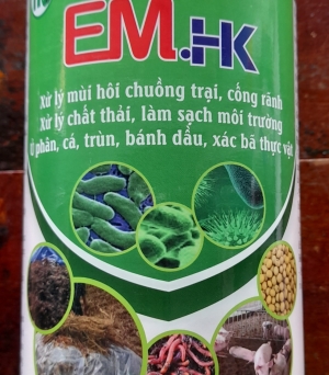EM