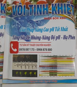 Tinh vôi