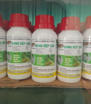Bong rệp sáp