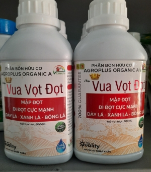 Vua vọt đọt