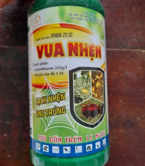 Vua nhện