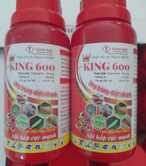 KING 600