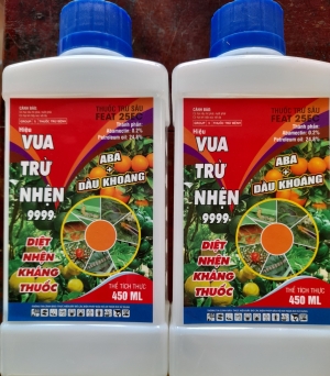 Vua trừ nhện 9999