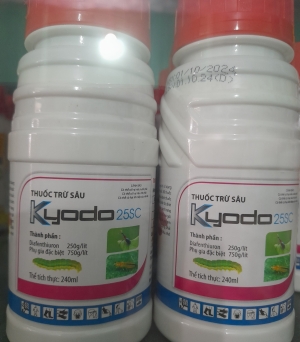 Kyodo 25Sc
