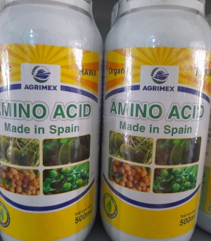 Amino Spain