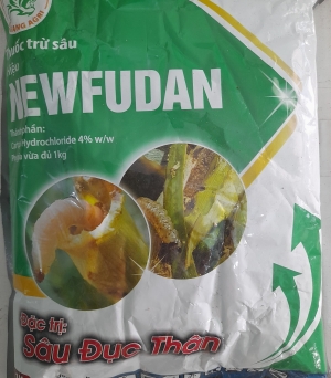 Newfudan