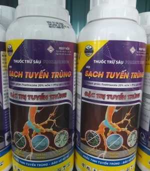 Sạch tuyến trùng