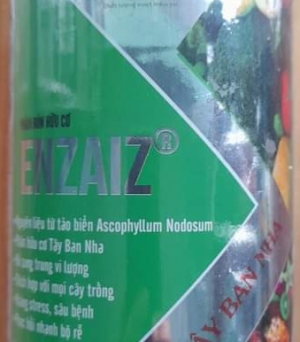 Enzaiz