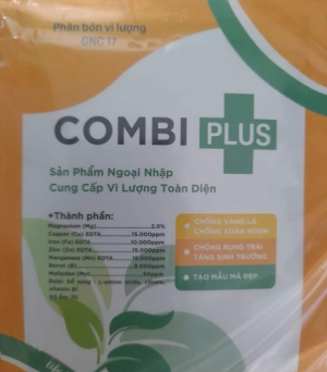 Combi