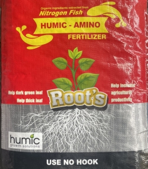 Root