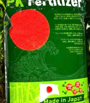 Lân tạo mầm