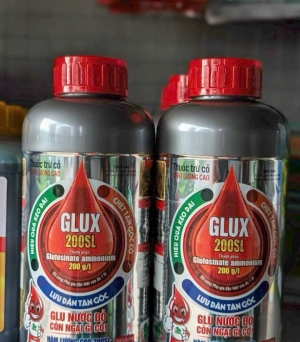 Glux 200