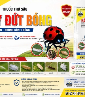 Rầy đứt bóng