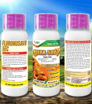 BETA 500