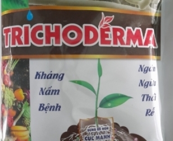 Dùng trichoderma ủ phân chuồng