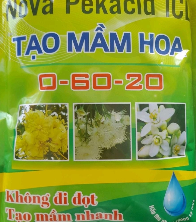 0-60-20. Tạo mầm hoa