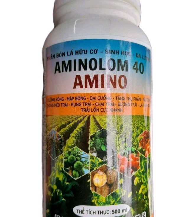 Amino