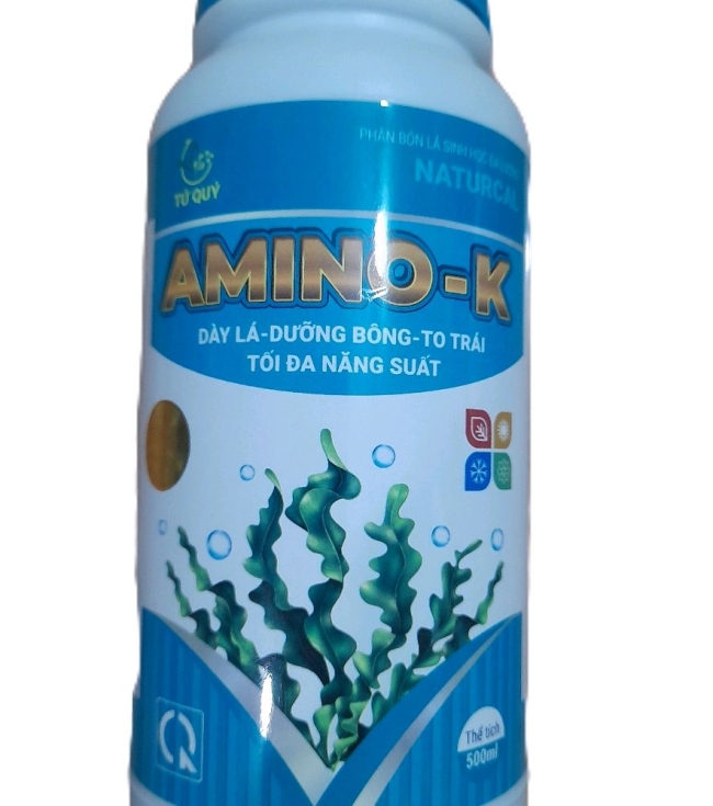 Amino K