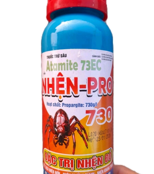 NHỆN PRO