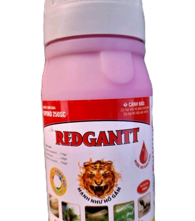 REDGANIT