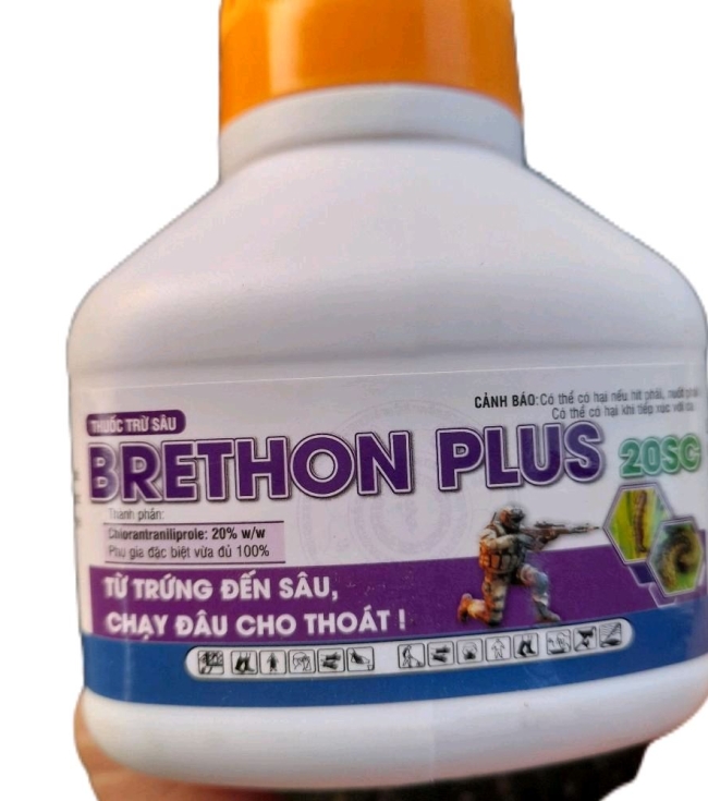 Brethon 20SC