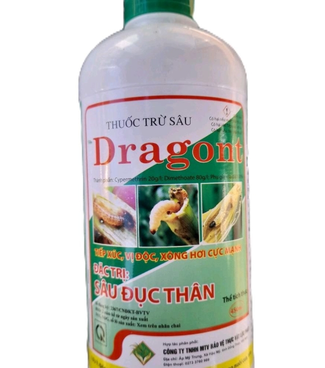Dragont