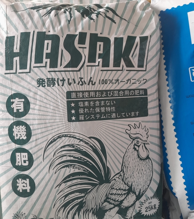 Hc Nhật