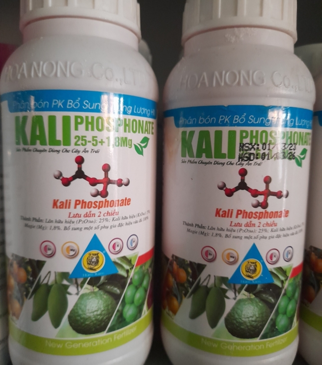 KaliP