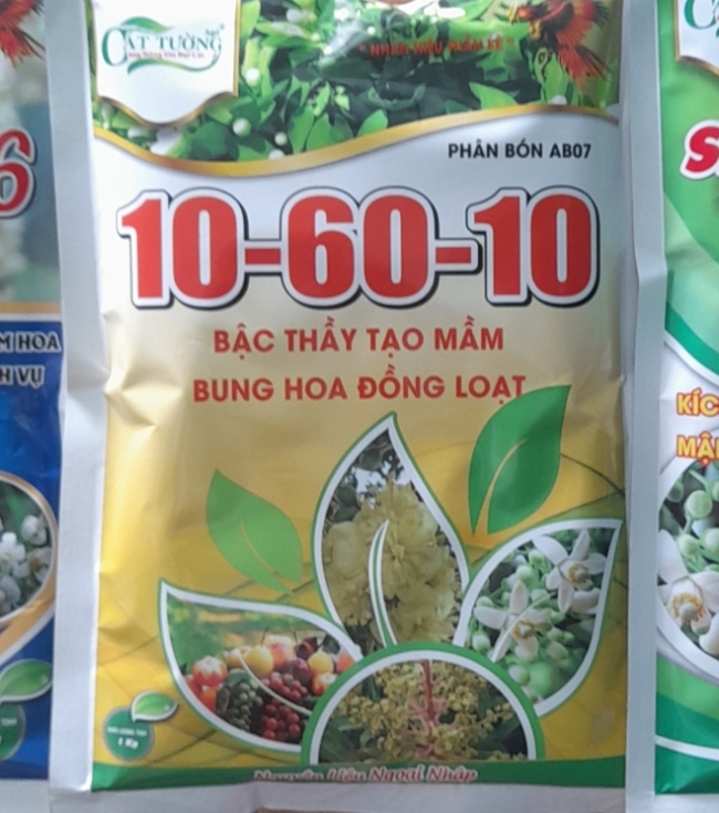Tạo mầm