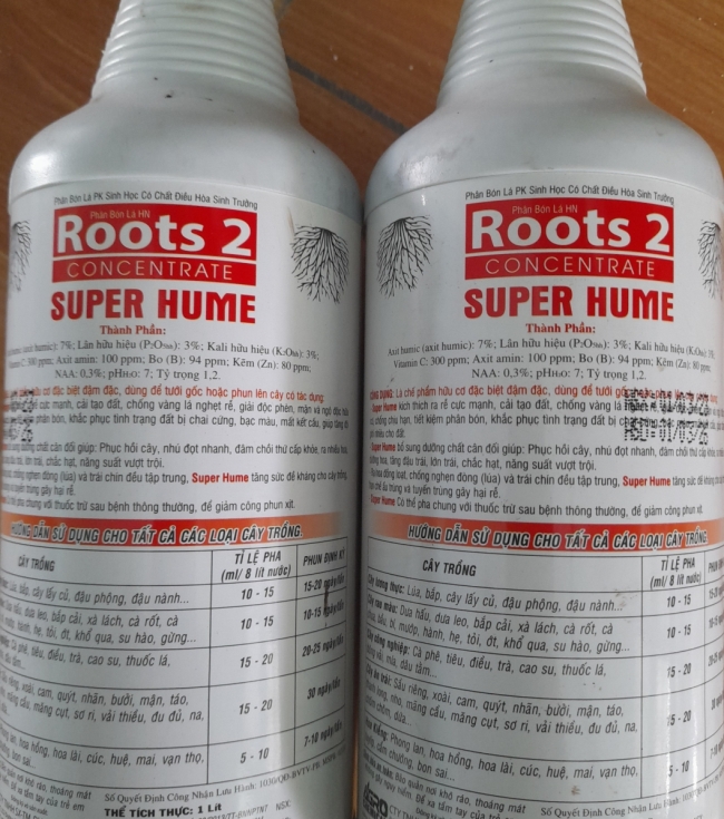Root 2