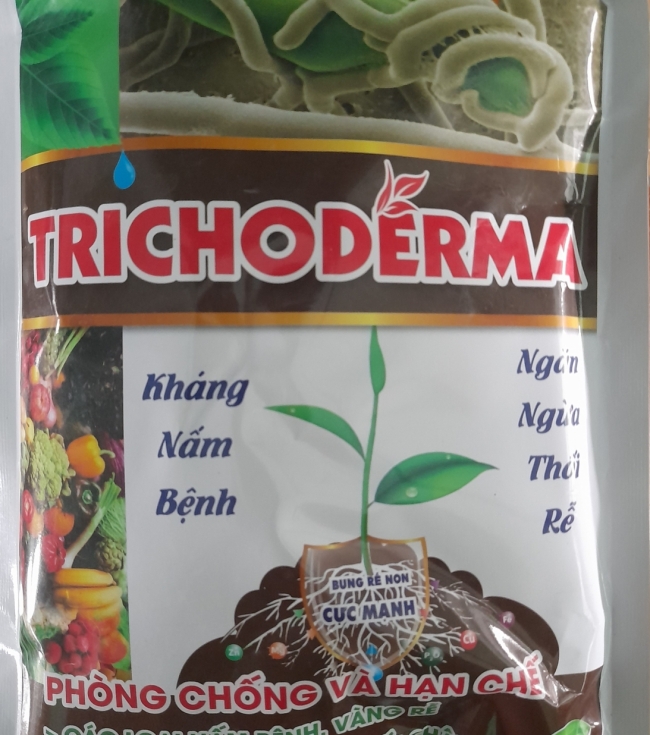 Trichoderma