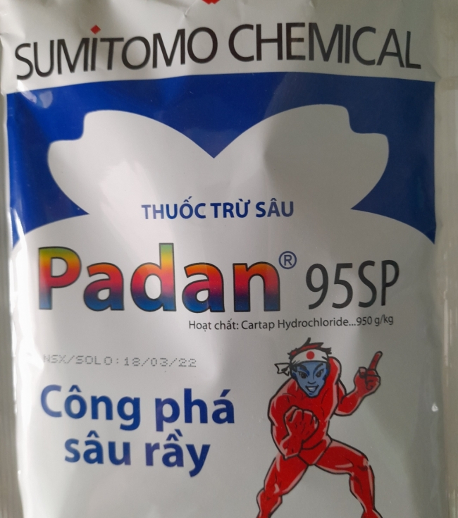 Padan 95 sp